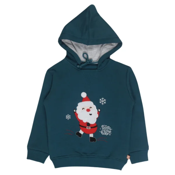 Baby Boys Sweatshirt